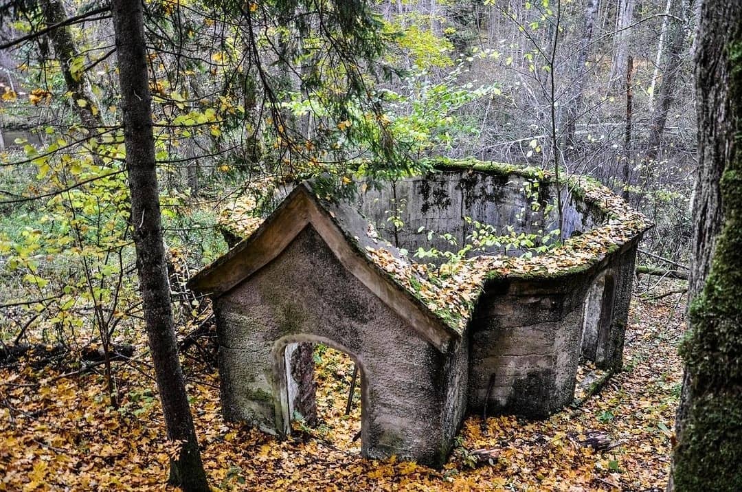 Краснолесье (руины охотничьего дома кайзера), Нестеров