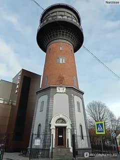 Мурариум (Музей кошек) — фото 8