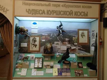 Музей Куршской косы (Визит-центр) — фото 2