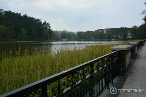 Тихое озеро — фото 3