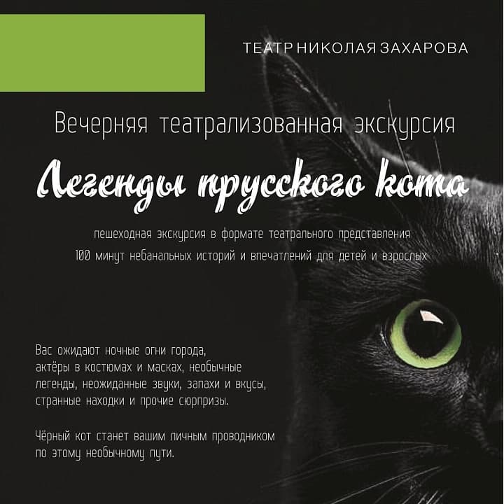 Легенды Прусского Кота В Светлогорске