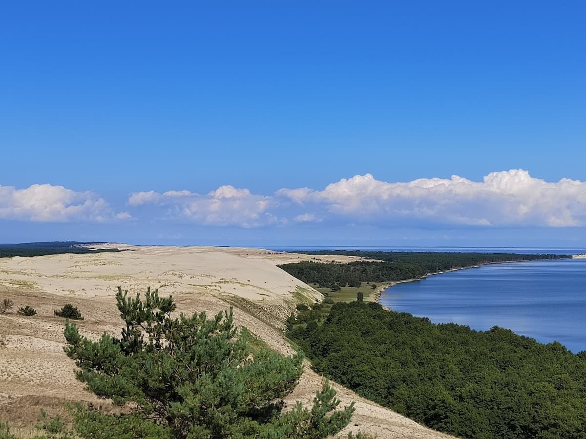 Памятник дайверу