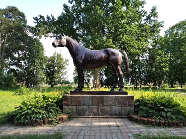 Памятник жеребцу Темпельхютеру