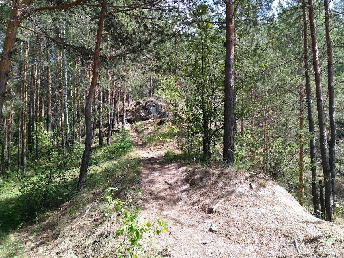 Разгуляевский парк