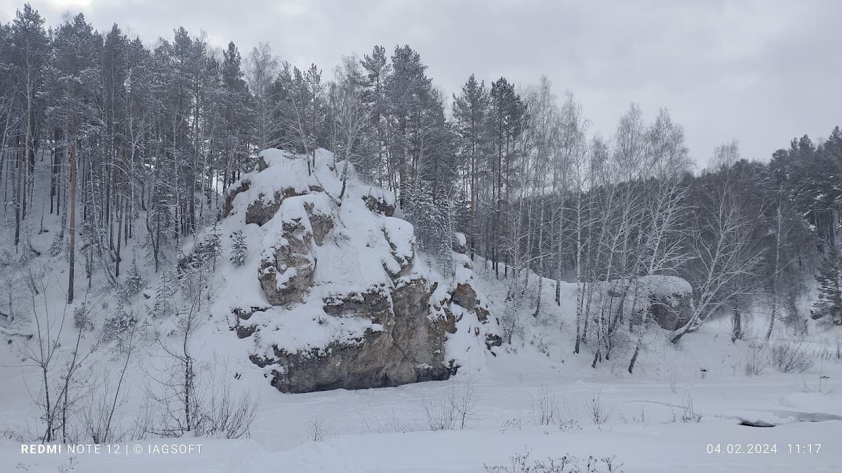 Скала Лобастый камень (Токаревский камень)