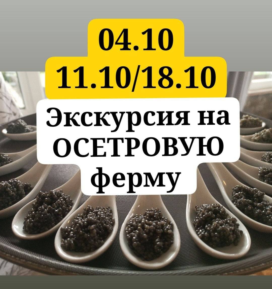 Экскурсия «Икра, улитки, осетрина» с дегустацией