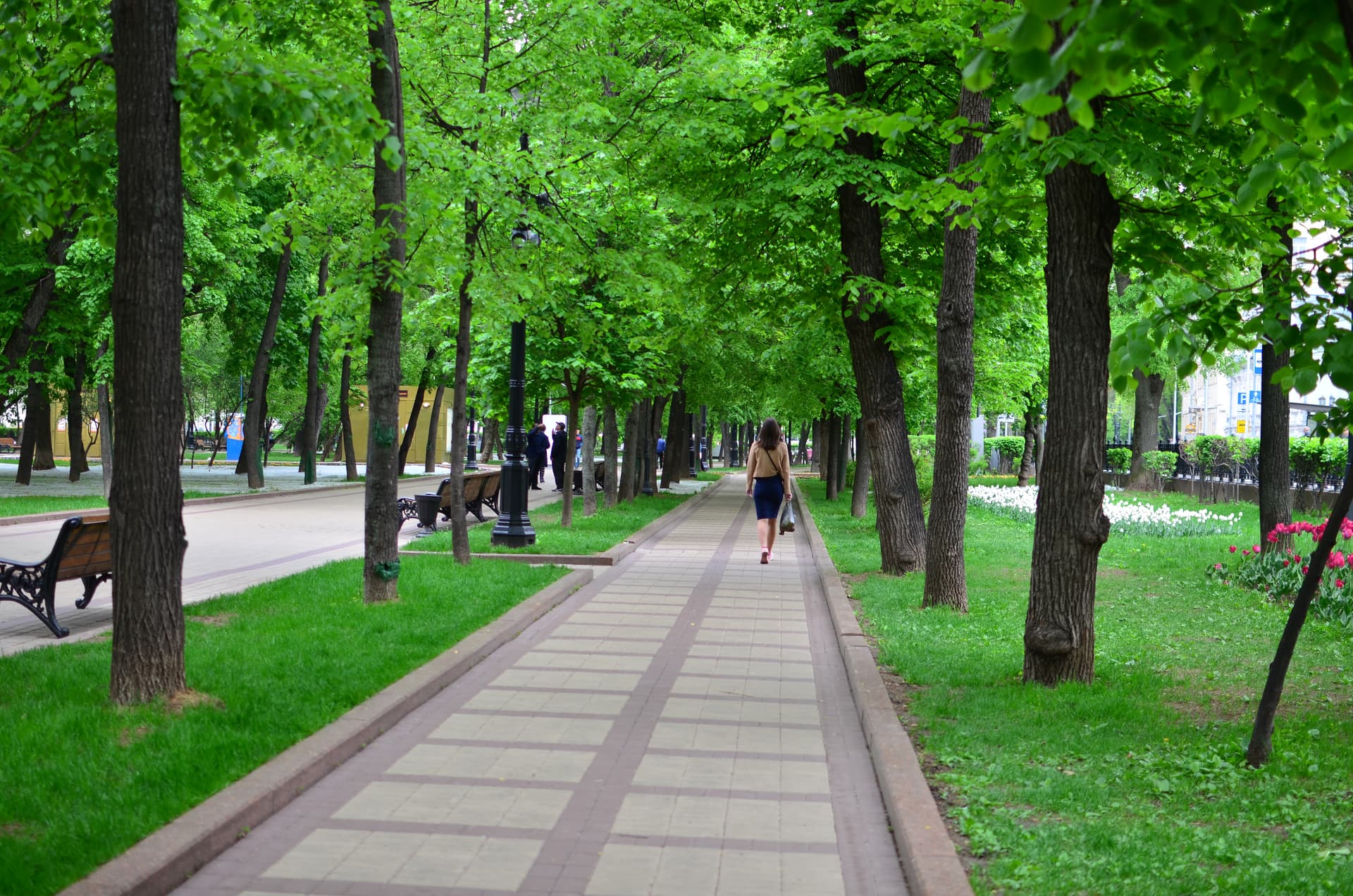 Бульварное кольцо